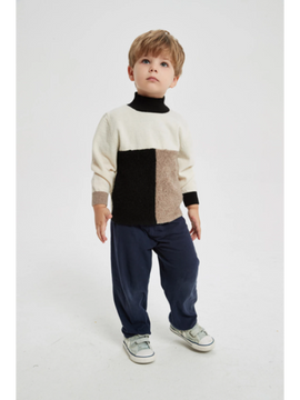 Chinese Wholesale High Quality Boy's Turtleneck Pure Cashmere Pullover Sweater In Multi Colors
