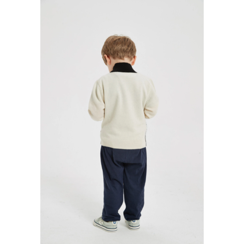 Chinese custom High Quality Boy's Turtleneck Pure Cashmere Pullover Sweater In Multi Colors