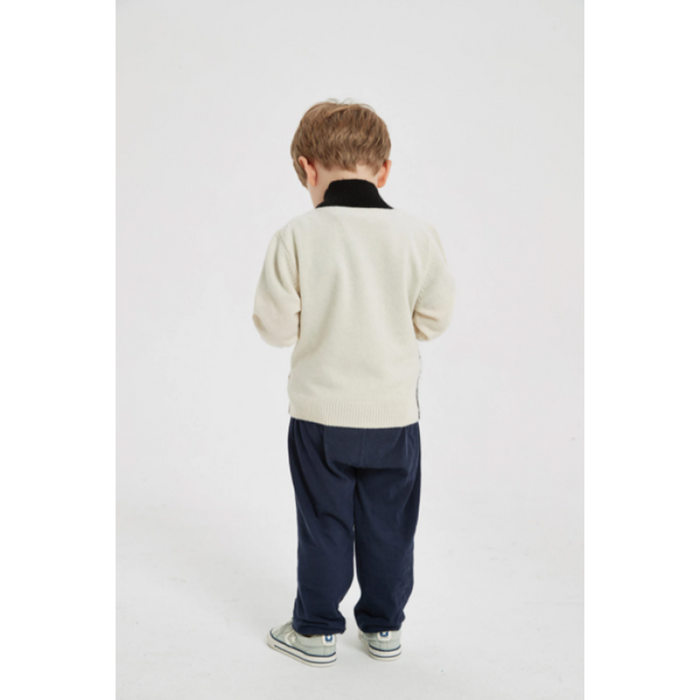 Chinese custom High Quality Boy's Turtleneck Pure Cashmere Pullover Sweater In Multi Colors